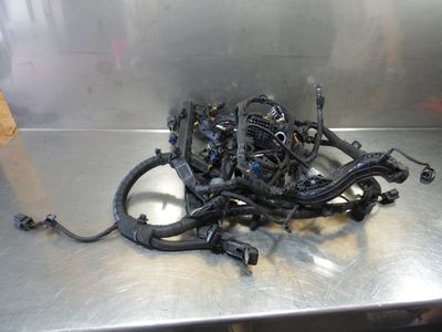 Hyundai i30 Blue Drive 1.6 CRDi Motorkabelbaum 91440-A6263 / 91850-A6512 – Produktansicht 1