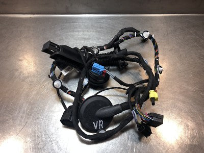 Audi A3 8V 8V1 Original DRIVERS SIDE FRONT DOOR WIRING LOOM 8V4971029H RHD ! – Produktansicht 1