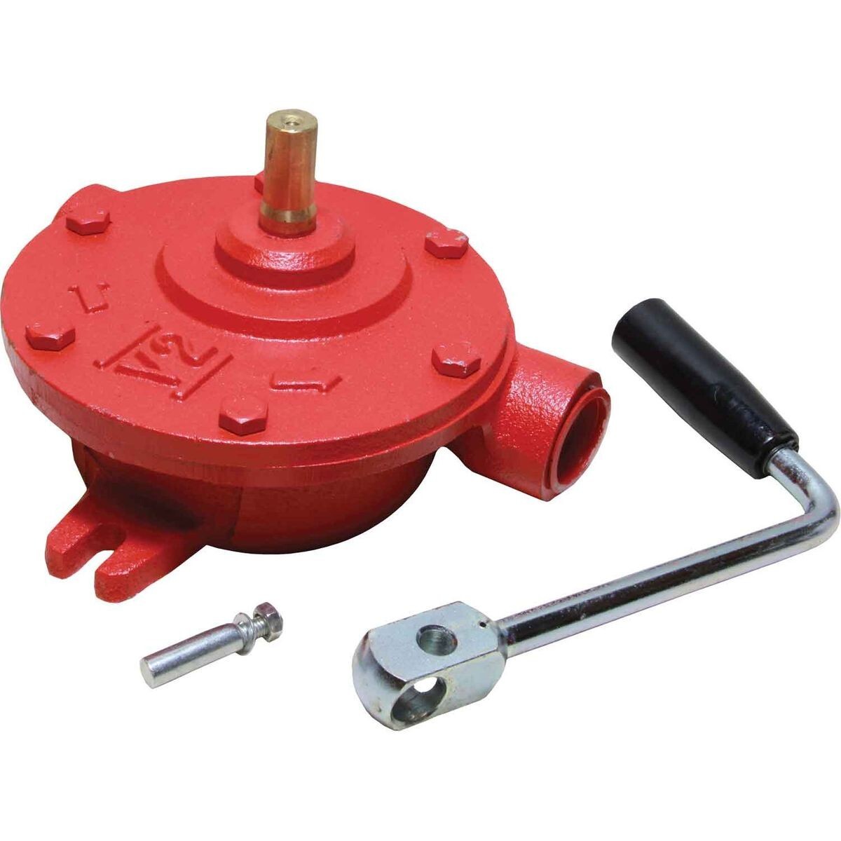 Patay V2 Rotary Pump 1" BSP/40LPM für Wasser Diesel Paraffin Öl ORIGINAL gebraucht - Rotationspumpe – Produktansicht 1